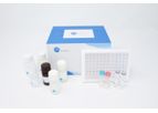 Fine Test - Model AQ-U3128 - COVID-19 Spike Protein (RBD) Accquant Elisa Kit