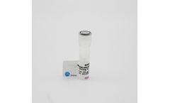 Fine Test - Model FNab04210 - Anti- IL1 Beta Antibody