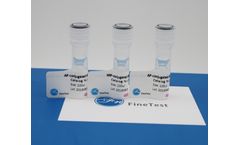 Fine Test - Model FNSA-0001 - HRP-Conjugated Streptavidin Antibody