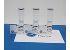 Fine Test - Model FNSA-0002 - HRP Conjugated Goat Anti-Mouse FC Antibody