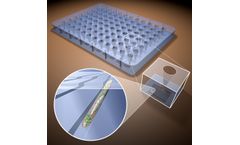 vivoVerse vivoChip - Large-Scale Microfluidic Chip Technology