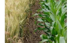 Carbon Dioxide Captured Technology for Food Manufacture Industry Sector