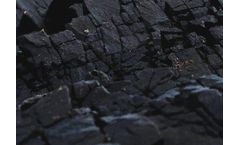 Carbon Dioxide Captured Technology for BioChar Industry Sector