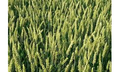 Carbon Dioxide Captured Technology for Agriculture Industry Sector