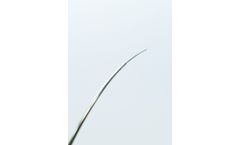 Innovative Health - Transseptal Needles
