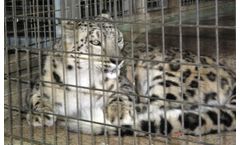 Protective - Animal Cages