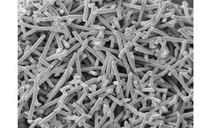 Inion - Model BioRestore - Synthetic Bone Graft Substitute
