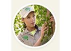 Green-Drop - Beautiful Trees Care Services