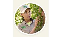 Green-Drop - Beautiful Trees Care Services