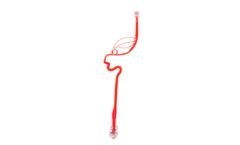 United Biologics - Model MCA00V01 - MCA Model - Neuro Aneurysm and Stenting Procedure