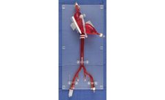 United Biologics - Model TCM00V04 - TAVR Transcatheter Model with Replaceable Aortic Valves