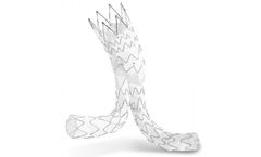 Artivion - Model E-tegra - Stent Graft System