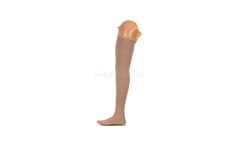 Above Knee Prosthesis