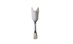 Below Knee Prosthesis