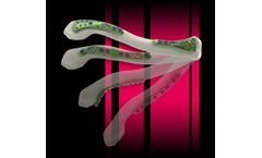 Newclip Technics - Model S - Alians Clavicle