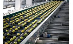 Model POMONE - Grading Machine