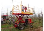 Boyo - Model 3GP-160 - Low-Speed Vehicle Orchard Platform