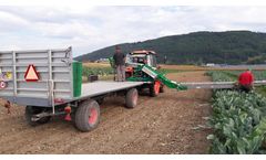 Delecroix - Hydraulic Harvesting Belt on Mounted Platform
