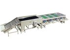 Fstsort - Model FIGC-3000 - Garlic Cleaning and Grading Machine