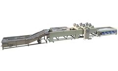 Fstsort - Model FISP-8000 - Sweet Potato Sorting Machine