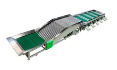 Fstsort - Model FITG - Tomato Processing Machine