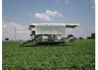 Koppert - Fully Automatic Radish Bunching Machine