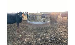 Soaring Eagle - Enclosed Feeders