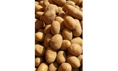 Robs4Crops - Crop Rotation Technology in Potato Farming Systems