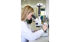 Research and Development Services