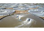 lima - Model 2022/8/25 - Rapid developments of fish farms in Indonesia