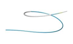 BeGraft - Model Coronary - Stent Graft System