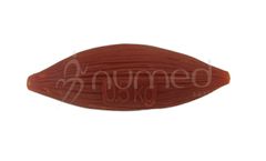 Muscle Mass of 0.5 kg