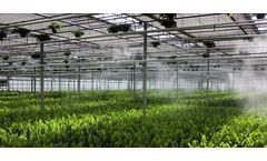 Spanish greenhouses - Spanish design greenhouses