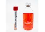 Liofilchem - Model VTM - Transport Medium for Viruses, Chlamydia, Mycoplasma and Ureaplasma