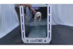 AquaPaws SS Features by Hudson Aquatic Systems - Video