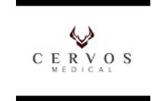 Cervos Master Class 5 21  - Video