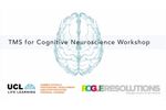 TMS Workshop for Cognitive Neuroscience - Video