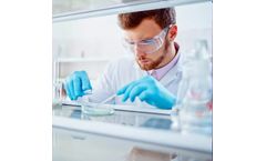 Model aProximate - Proximal Tubule