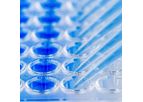 Retinal Toxicity Services