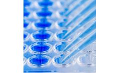 Retinal Toxicity Services