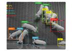 Pig farming solutions