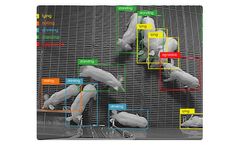 Pig farming solutions