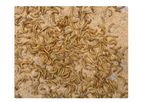Industrial Insect Farming Solutions