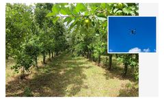Arboriculture Solutions