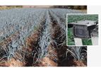 Market Gardening Solutions
