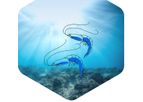 Protenga - Hermet Protein for Aquaculture