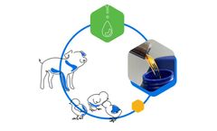 Protenga - Hermet Oil