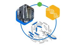 Protenga - Smart Insects Biotechnology Technology