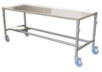 Model 600019-D - RTS - Standard - Dissection Table With Drain Hole