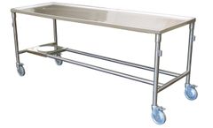 Model 600019-D - RTS - Standard - Dissection Table With Drain Hole